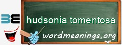 WordMeaning blackboard for hudsonia tomentosa